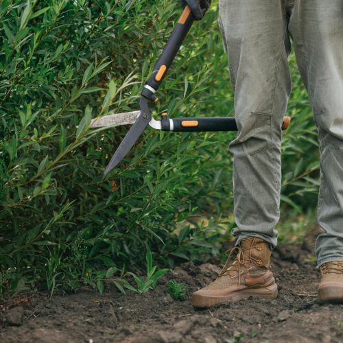 Jakie narzędzia są przydatne na działce?